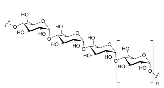 What Are Polysaccharides?