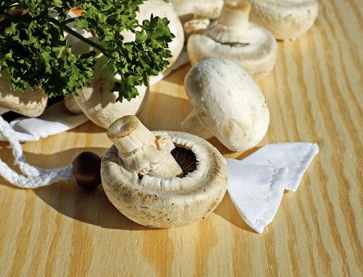 Are Mushrooms Safe to Eat? - Troop