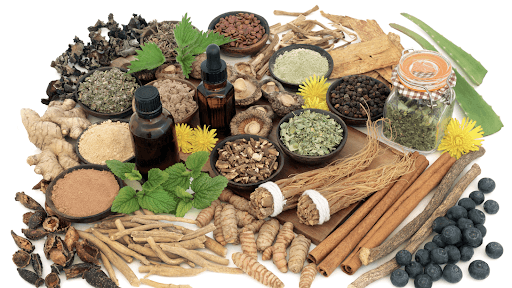 What Are Medicinal Mushrooms?