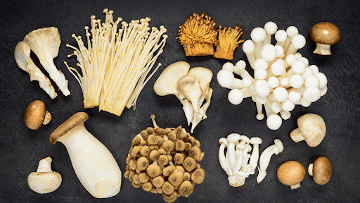 How Many Different Kinds of Mushrooms Are There? - Troop
