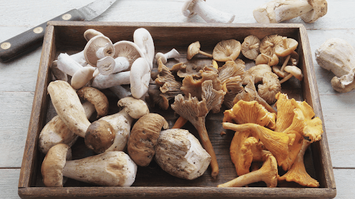 What Are Functional Mushrooms - Troop