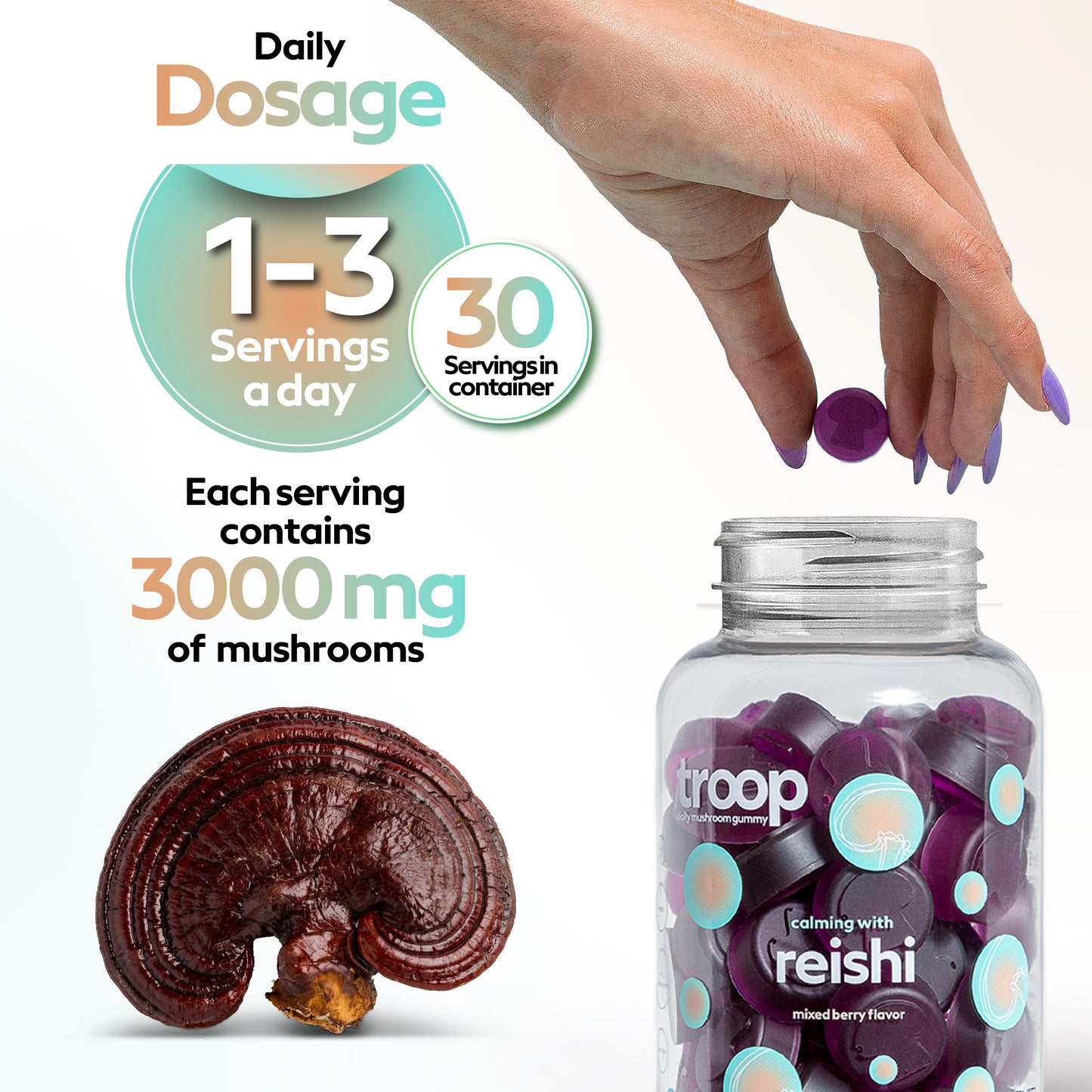 Reishi Mushroom Gummies