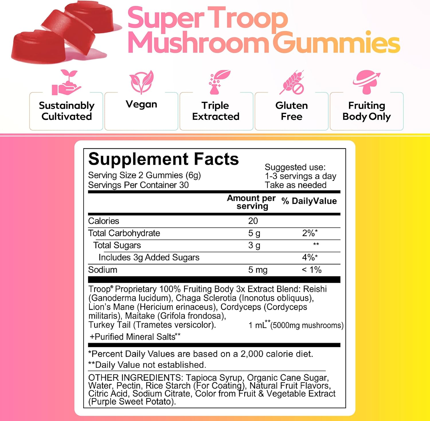 Super Troop - 6 Mushroom Blend Energy/ Immunity Gummies