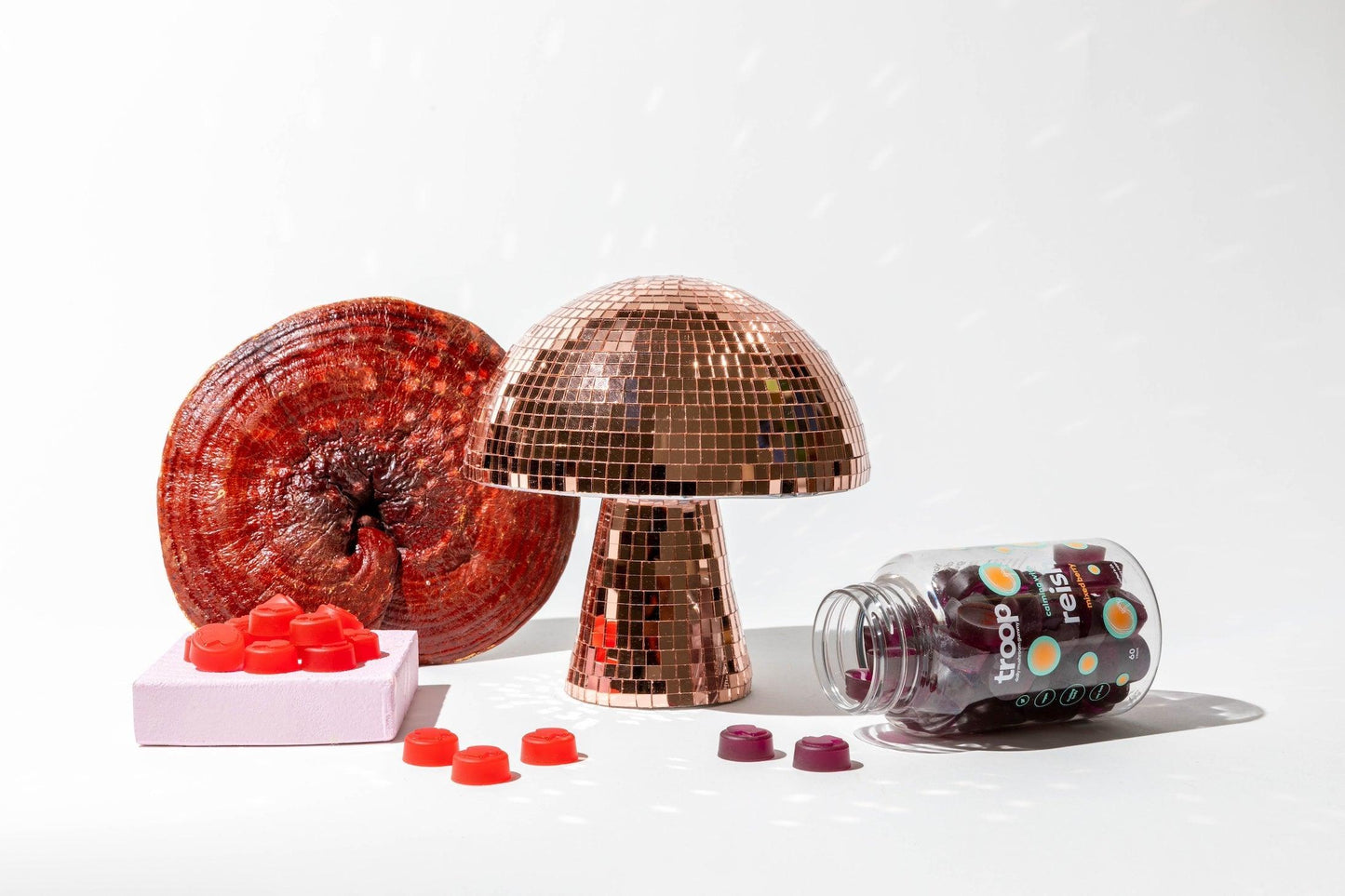 Super Pack + Disco Bundle - Lion's Mane, Super Troop, Reishi - Troop