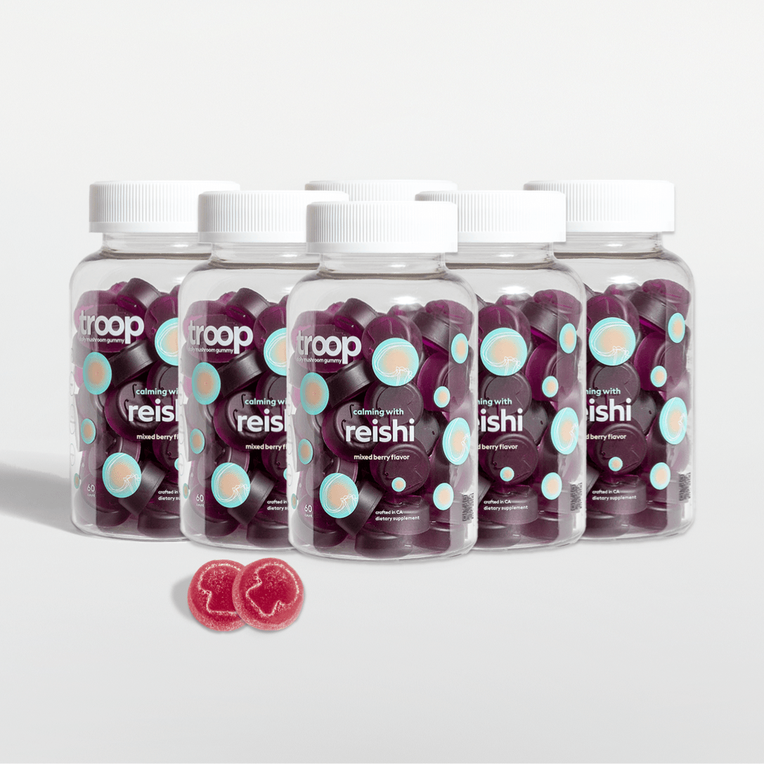 Reishi 6 Month Bundle - Troop