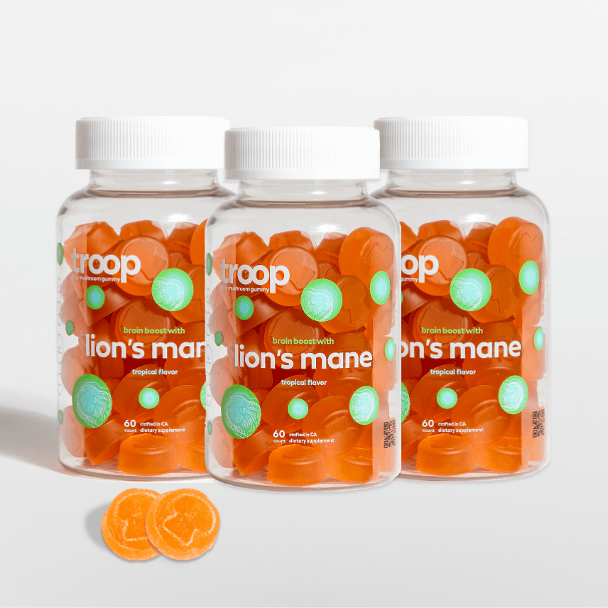 Lions Mane 3 Month Bundle - Troop