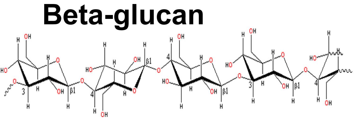 What Are Beta Glucans What Are Beta Glucans