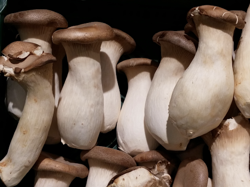 5 Reasons to Grow Your Own Mushrooms