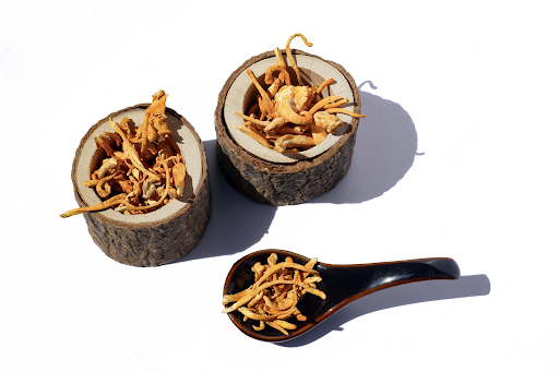 What are Cordyceps?