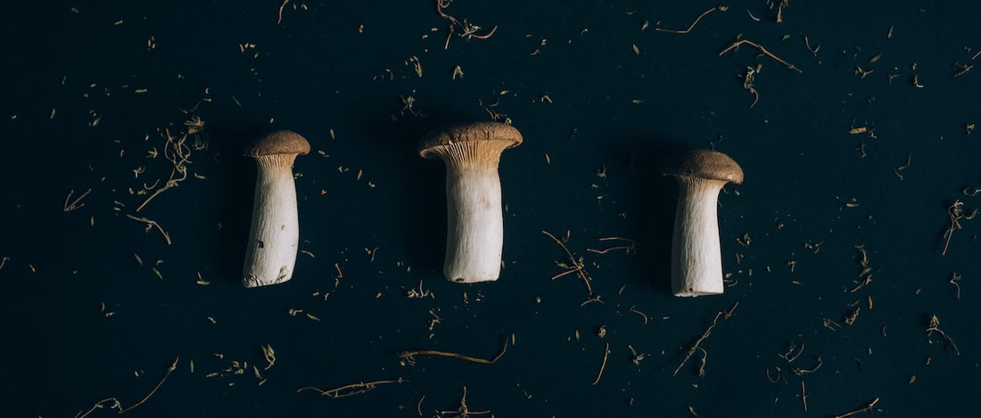 Are Psilocybin Mushrooms Addictive?