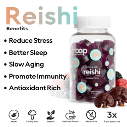 BFCM SALE 6 Bottle Reishi + 3 Free - Troop