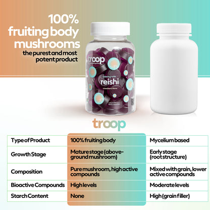 Reishi Mushroom Gummies