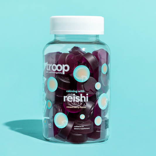 Reishi Mushroom Gummies for Destress/Sleep